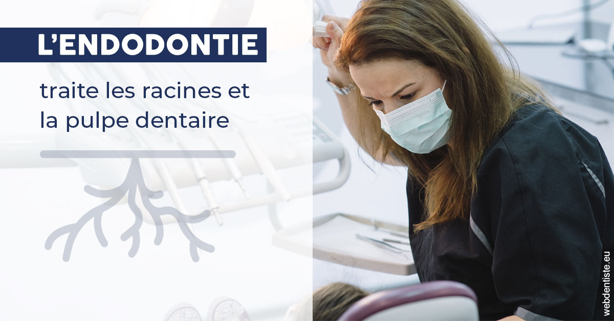 https://dr-kuetche-regille.chirurgiens-dentistes.fr/L'endodontie 1