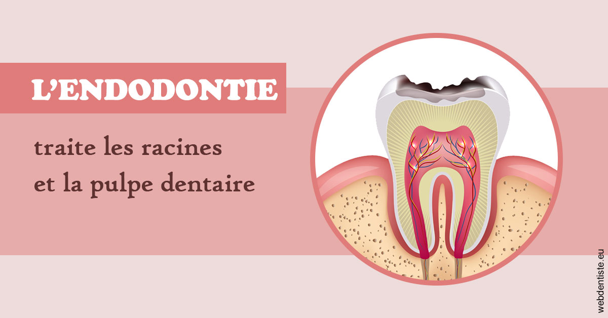 https://dr-kuetche-regille.chirurgiens-dentistes.fr/L'endodontie 2