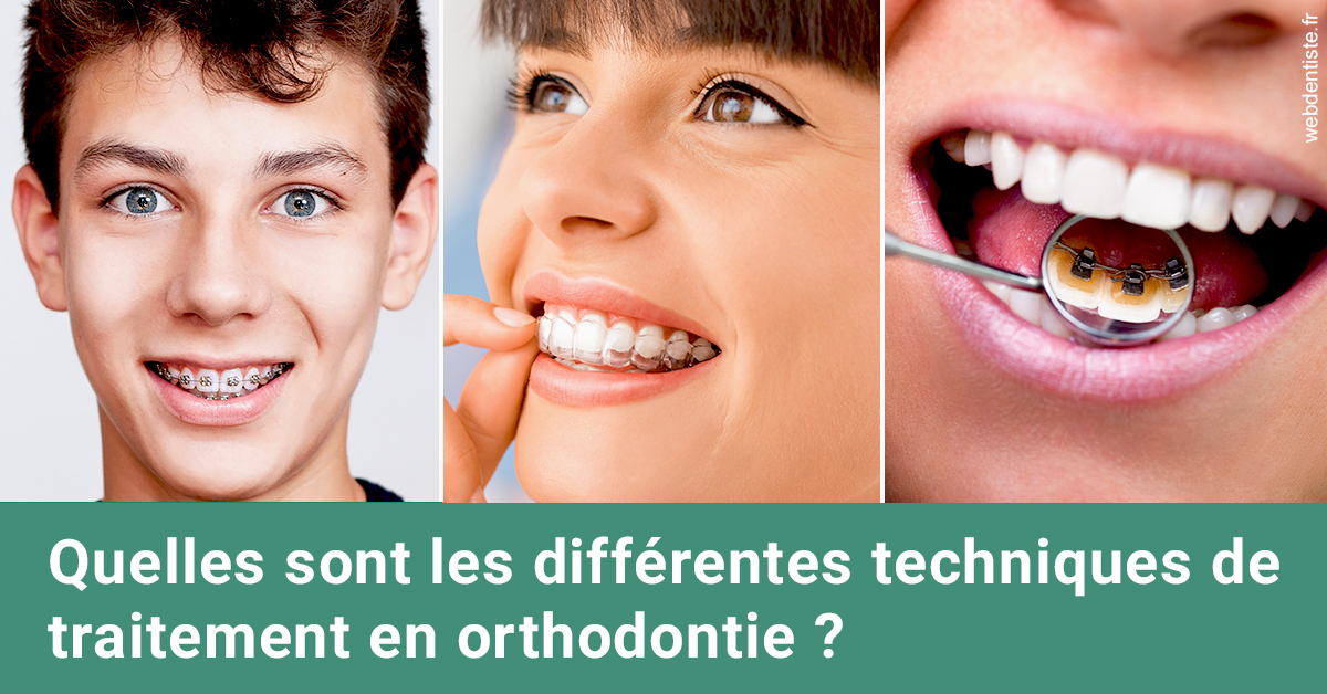https://dr-kuetche-regille.chirurgiens-dentistes.fr/Les différentes techniques de traitement 2